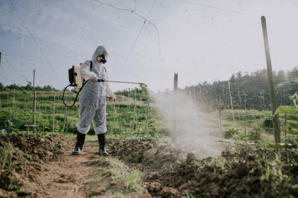 Best Commercial Pest Control Services  in Cottonde, AL