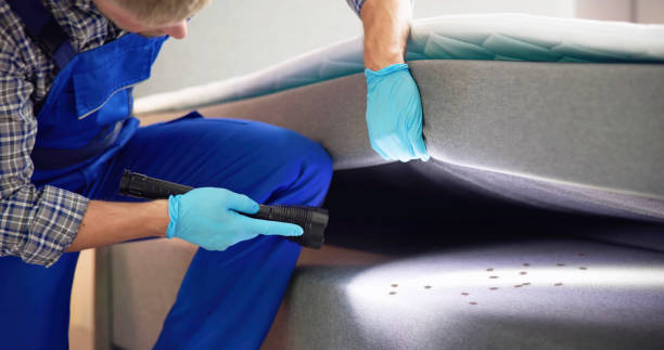 Best Pest Prevention Services  in Cottonde, AL