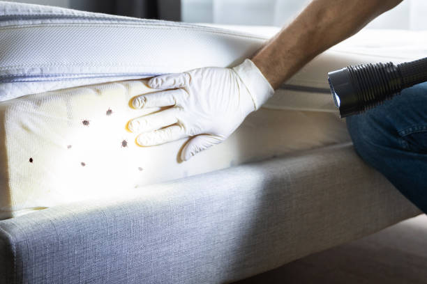 Pest Prevention Services in Cottondale, AL