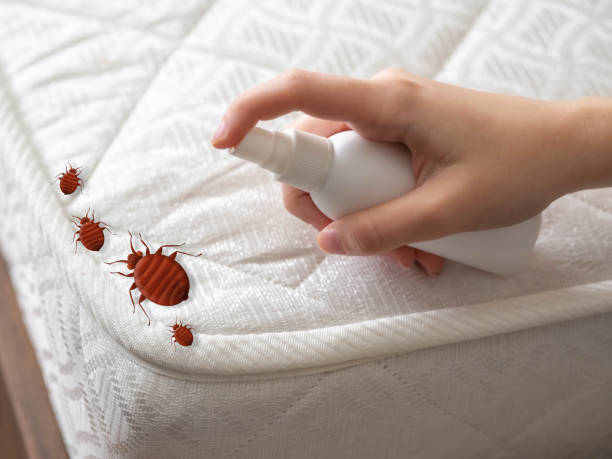 Best Pest Control Near Me  in Cottonde, AL
