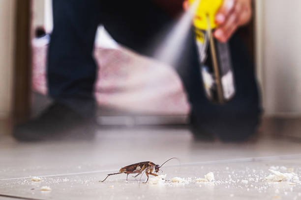 Best Residential Pest Control  in Cottonde, AL